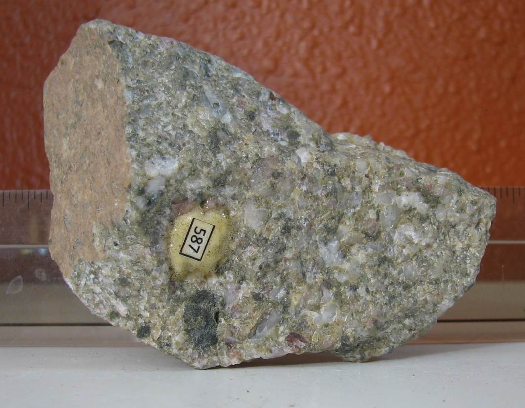 A rock with a number on it

Description automatically generated with medium confidence