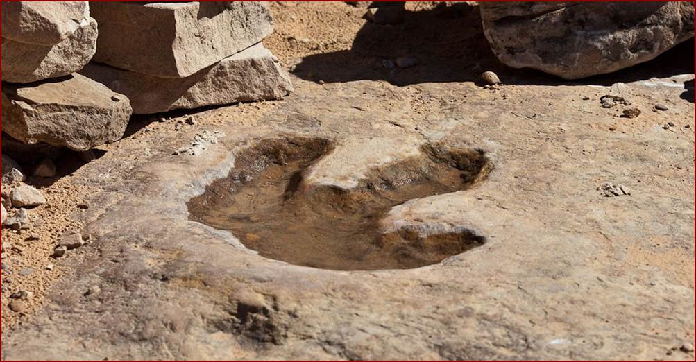 A theropod dinosaur footprint