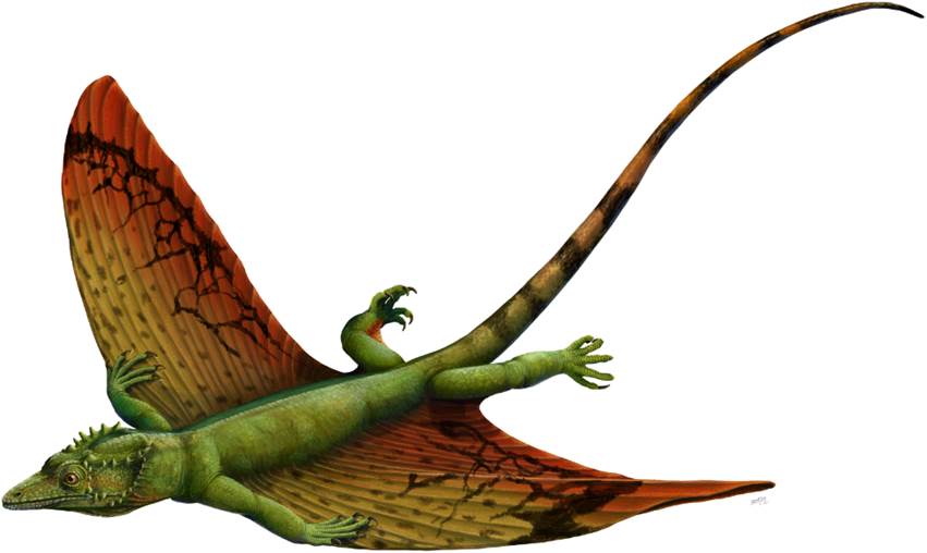 A picture containing reptile, dinosaur

Description automatically generated